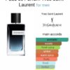Y - Yves Saint Laurent