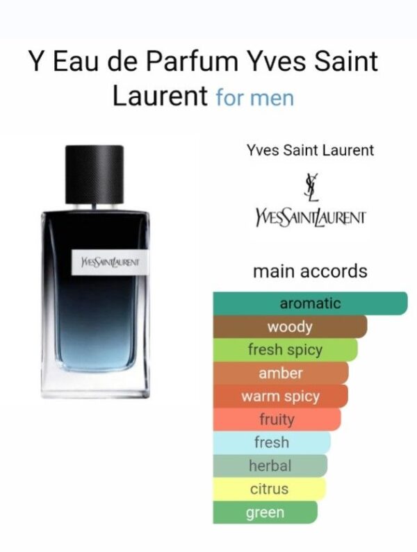 Y - Yves Saint Laurent
